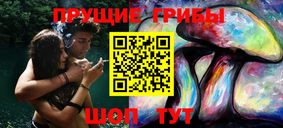 Галлюциногенные грибы MAGIC MUSHROOMS Каменка