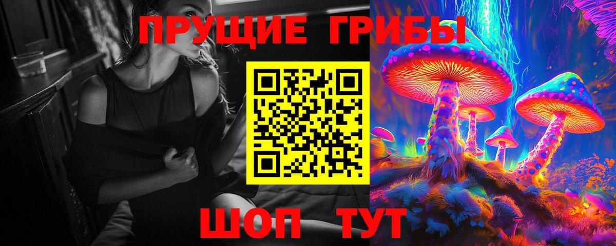 Каменка  Псилоцибиновые грибы ЛСД  Галлюциногенные грибы Psilocybine cubensis  Вход с VPN 